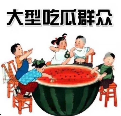 不舍昼夜吃瓜娱乐